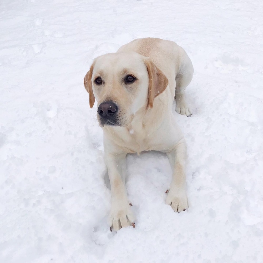 Meet your Posher, Michelle